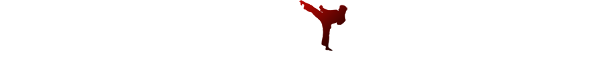 North American Self Defense Company Logo